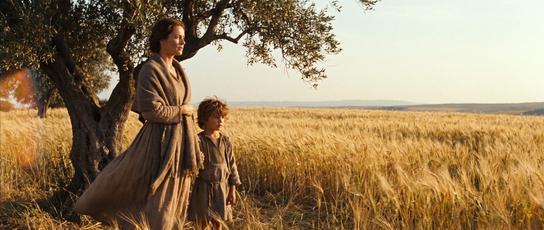 A woman and a young girl beneath an olive tree at the edge of a wheat field, golden light.